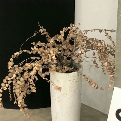 乌当FurryQQ群介绍